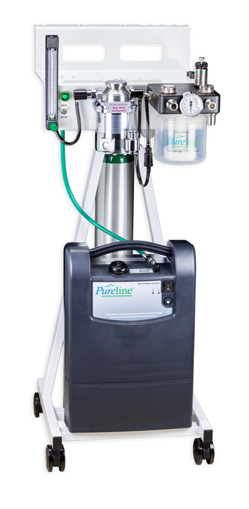 Pureline® M6000