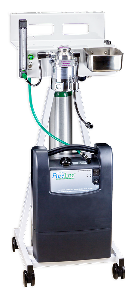 Pureline® M6100